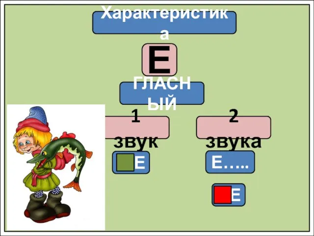 Характеристика Е ГЛАСНЫЙ 1 звук 2 звука Е Е….. Е