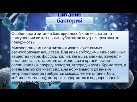 Питание бактерий Особенности питания бактериальной клетки состоят в поступлении питательных субстратов внутрь