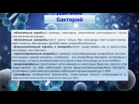 Дыхание бактерий · облигатные аэробы (к примеру, нейссерии, синегнойная палочка)растут только при