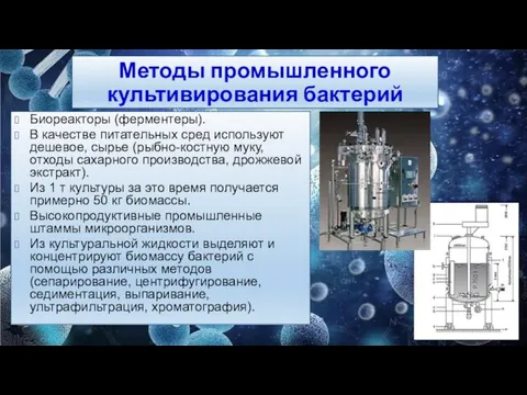 Методы промышленного культивирования бактерий Биореакторы (ферментеры). В качестве питательных сред используют дешевое,