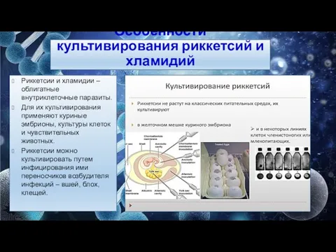 Особенности культивирования риккетсий и хламидий Риккетсии и хламидии – облигатные внутриклеточные паразиты.