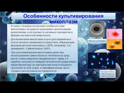 В связи с морфологическими особенностями микоплазмы не удается окрашивать анилиновыми красителями, и