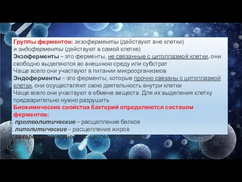 Группы ферментов: экзоферменты (действуют вне клетки) и эндоферменты (действуют в самой клетке)