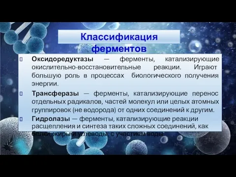 Оксидоредуктазы — ферменты, катализирующие окислительно-восстановительные реакции. Играют большую роль в процессах биологического