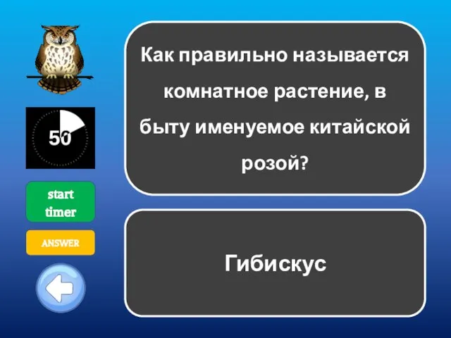 Как правильно называется комнатное растение, в быту именуемое китайской розой? start timer ANSWER Гибискус