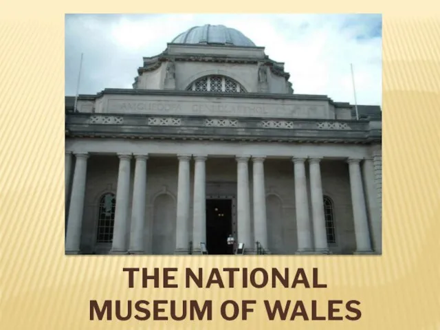 THE NATIONAL MUSEUM OF WALES