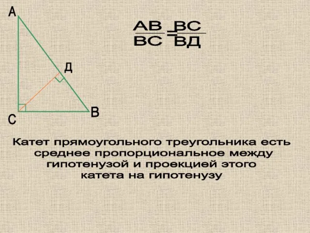 А В С Д Катет прямоугольного треугольника есть среднее пропорциональное между гипотенузой