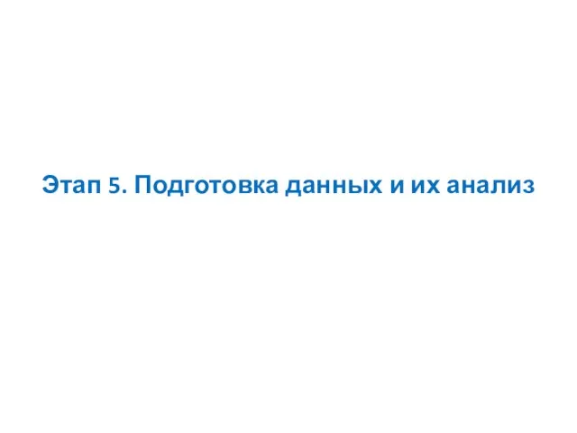 Этап 5. Подготовка данных и их анализ