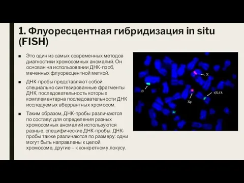 1. Флуоресцентная гибридизация in situ (FISH) Это один из самых современных методов