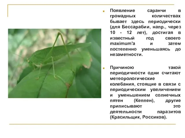 Появление саранчи в громадных количествах бывает здесь периодически (для Бессарабии, напр., через