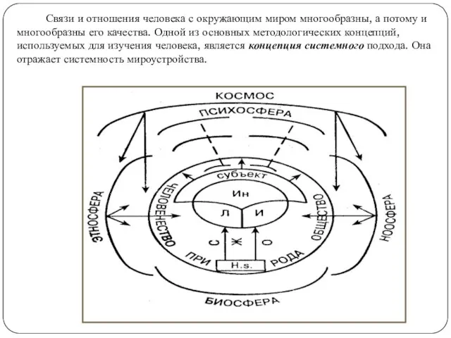 Связи и отношения человека с окружающим миром многообразны, а потому и многообразны