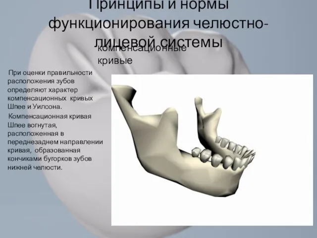 При оценки правильности расположения зубов определяют характер компенсационных кривых Шпее и Уилсона.