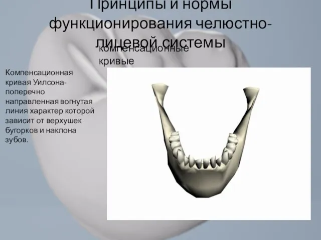 Принципы и нормы функционирования челюстно-лицевой системы компенсационные кривые Компенсационная кривая Уилсона- поперечно