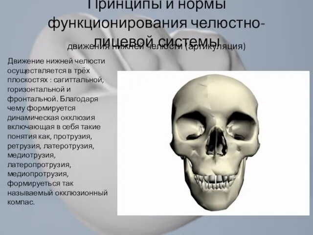 Движение нижней челюсти осуществляется в трёх плоскостях : сагиттальной, горизонтальной и фронтальной.