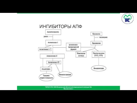 ИНГИБИТОРЫ АПФ ГБПОУ СПО МО Московский областной медицинский колледж №1 Москва 2016 г.