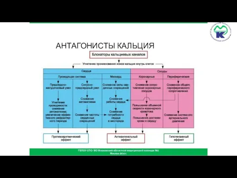 АНТАГОНИСТЫ КАЛЬЦИЯ ГБПОУ СПО МО Московский областной медицинский колледж №1 Москва 2016 г.