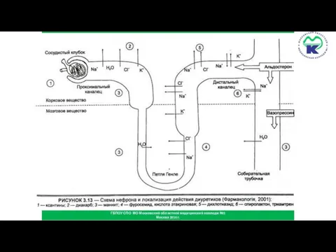 ДИУРЕТИКИ ГБПОУ СПО МО Московский областной медицинский колледж №1 Москва 2016 г.
