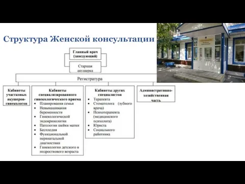 Структура Женской консультации