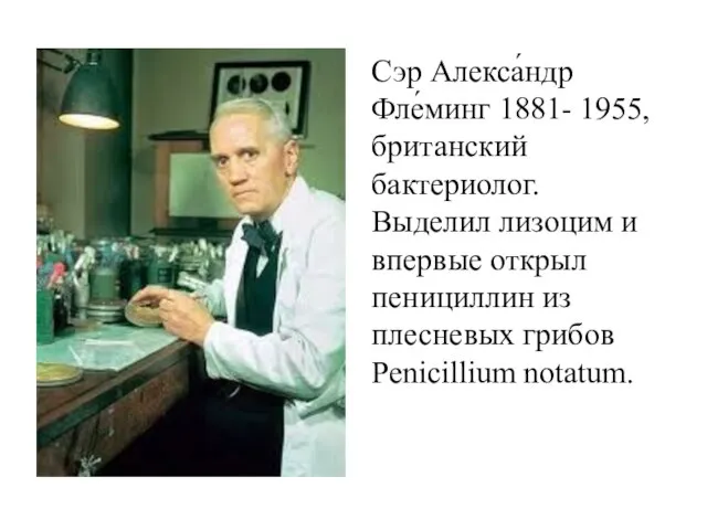 Сэр Алекса́ндр Фле́минг 1881- 1955, британский бактериолог. Выделил лизоцим и впервые открыл