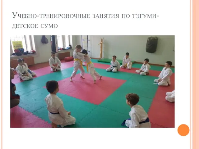 Учебно-тренировочные занятия по тэгуми-детское сумо