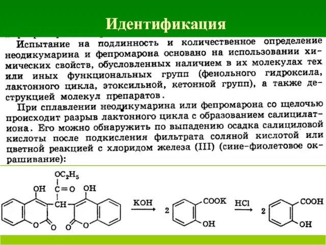 Идентификация