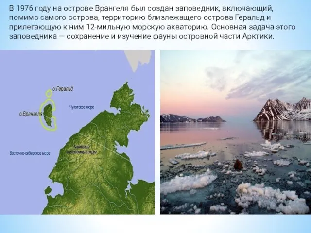 В 1976 году на острове Врангеля был создан заповедник, включающий, помимо самого