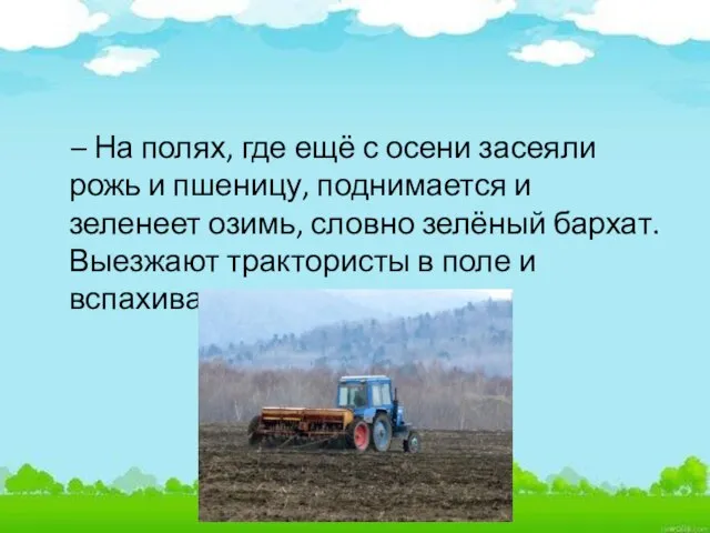 – На полях, где ещё с осени засеяли рожь и пшеницу, поднимается