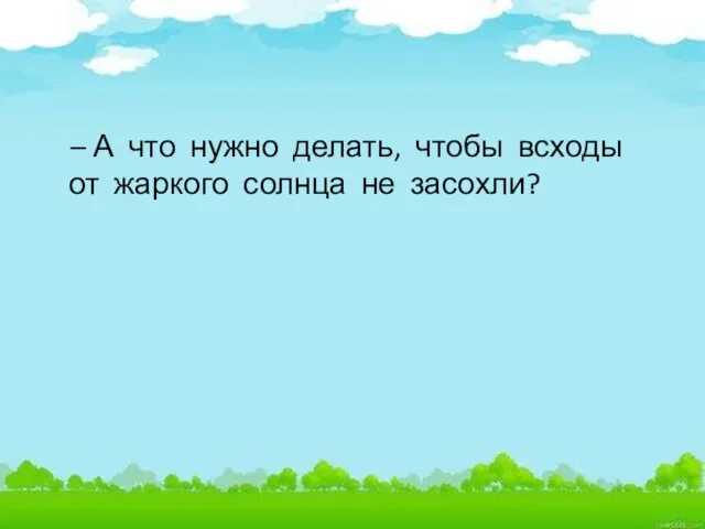 – А что нужно делать, чтобы всходы от жаркого солнца не засохли?