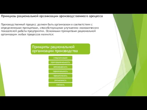 Принципы рациональной организации производственного процесса Производственный процесс должен быть организован в соответствии