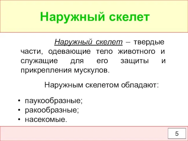 Наружный скелет – твердые части, одевающие тело животного и служащие для его