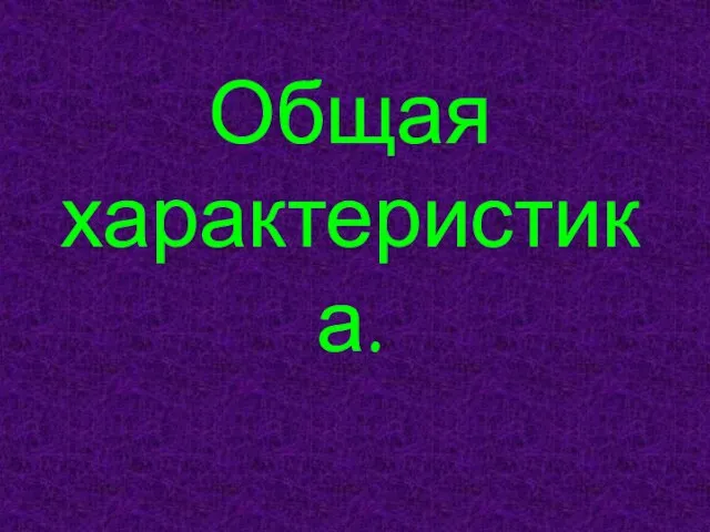 Общая характеристика.