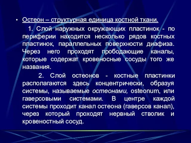 Остеон – структурная единица костной ткани. 1. Слой наружных окружающих пластинок -