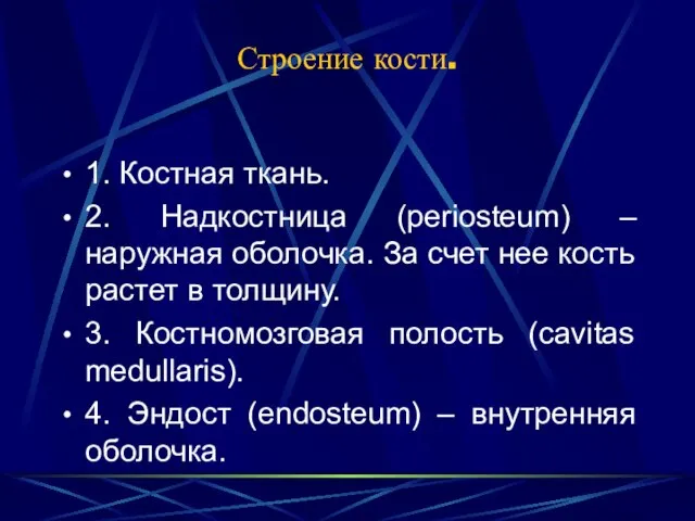 Строение кости. 1. Костная ткань. 2. Надкостница (periosteum) – наружная оболочка. За