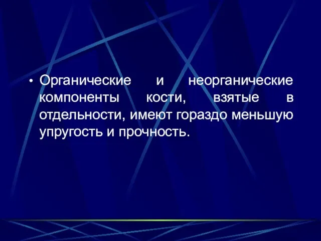 Органические и неорганические компоненты кости, взятые в отдельности, имеют гораздо меньшую упругость и прочность.