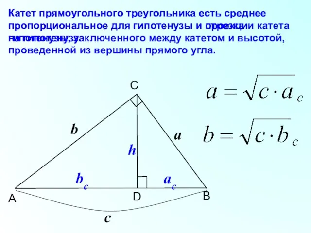 B C A D Катет прямоугольного треугольника есть среднее пропорциональное для гипотенузы