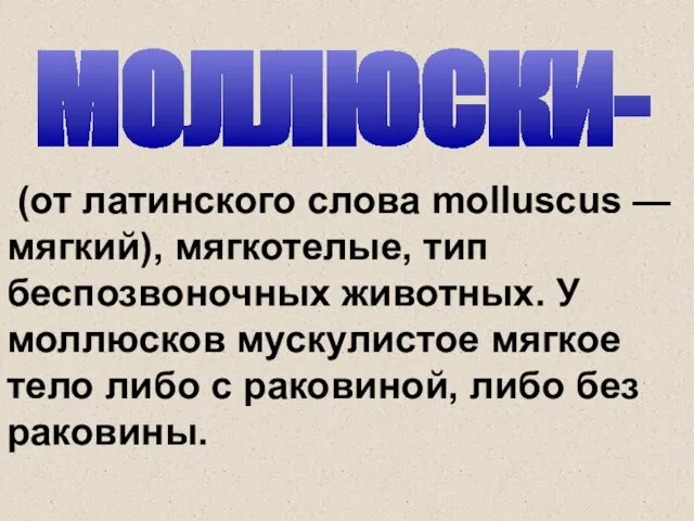 МОЛЛЮСКИ- (от латинского слова molluscus — мягкий), мягкотелые, тип беспозвоночных животных. У