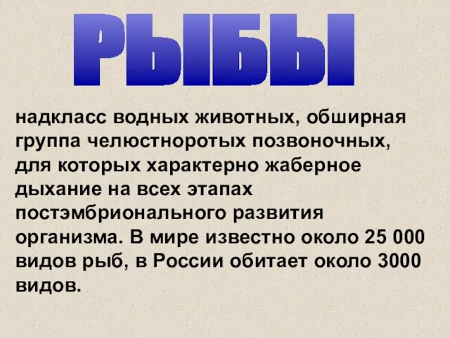 РЫБЫ надкласс водных животных, обширная группа челюстноротых позвоночных, для которых характерно жаберное