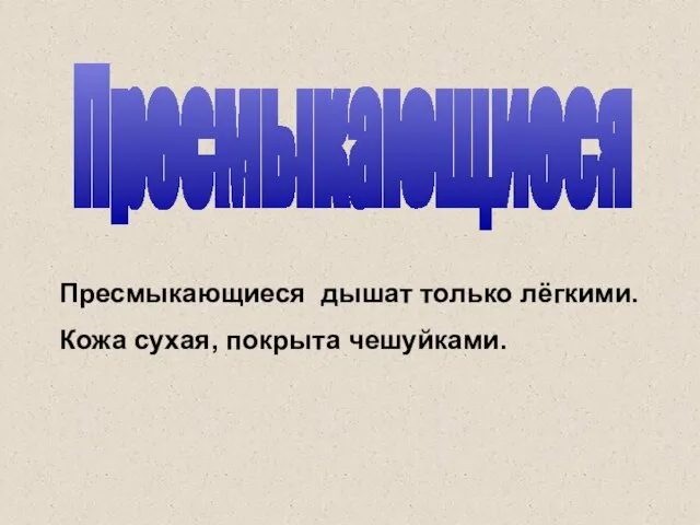 Пресмыкающиеся Пресмыкающиеся дышат только лёгкими. Кожа сухая, покрыта чешуйками.