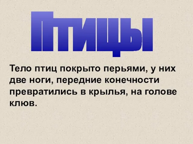 Птицы Тело птиц покрыто перьями, у них две ноги, передние конечности превратились