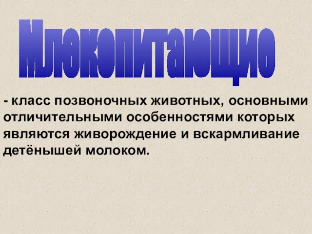 Млекопитающие - класс позвоночных животных, основными отличительными особенностями которых являются живорождение и вскармливание детёнышей молоком.