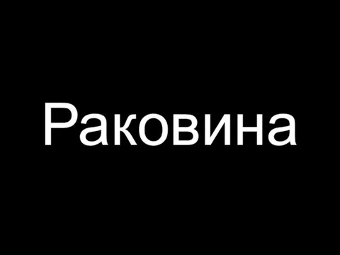 Раковина