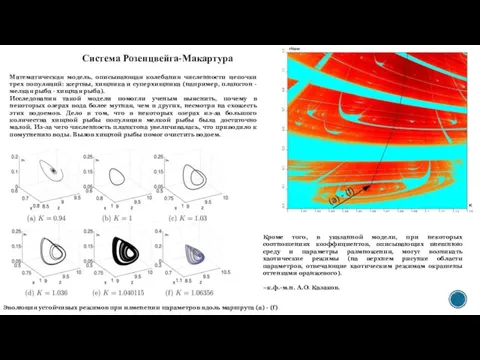 Система Розенцвейга-Макартура Математическая модель, описывающая колебания численности цепочки трех популяций: жертвы, хищника