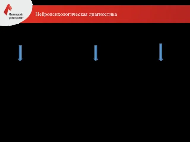 Нейропсихологическая диагностика Цель: изучение проблем психического и речевого развития с нейропсихологической точки