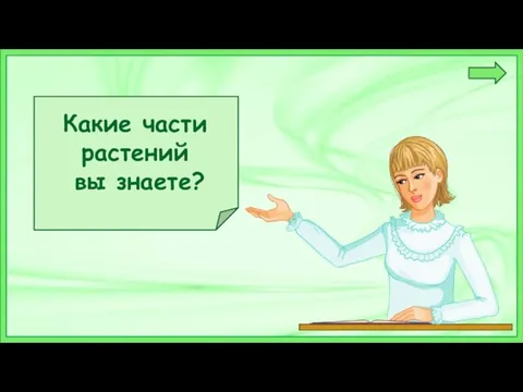 Какие части растений вы знаете?