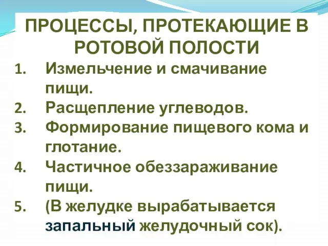 ПРОЦЕССЫ, ПРОТЕКАЮЩИЕ В РОТОВОЙ ПОЛОСТИ Измельчение и смачивание пищи. Расщепление углеводов. Формирование