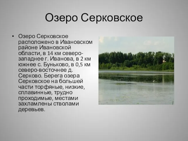 Озеро Серковское Озеро Серковское расположено в Ивановском районе Ивановской области, в 14
