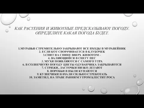 КАК РАСТЕНИЯ И ЖИВОТНЫЕ ПРЕДСКАЗЫВАЮТ ПОГОДУ. ОПРЕДЕЛИТЕ КАКАЯ ПОГОДА БУДЕТ. 1.МУРАВЬИ СТРЕМИТЕЛЬНО