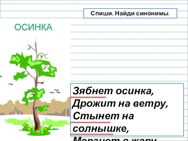 Зябнет осинка, Дрожит на ветру, Стынет на солнышке, Мерзнет в жару. Спиши. Найди синонимы.