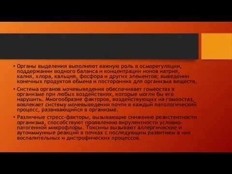 Органы выделения выполняют важную роль в осморегуляции, поддержании водного баланса и концентрации