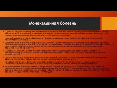 Одним из ведущих факторов в образовании мочевых камней является нарушение соотношения между